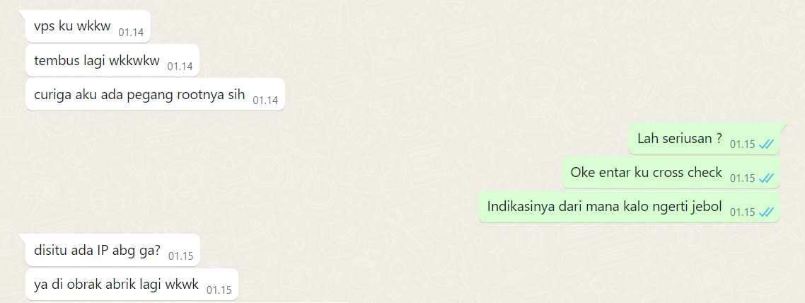chatting whatsapp 